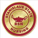 Picture of Stanislaus State BSN Pin