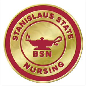 Picture of Stanislaus State BSN Pin